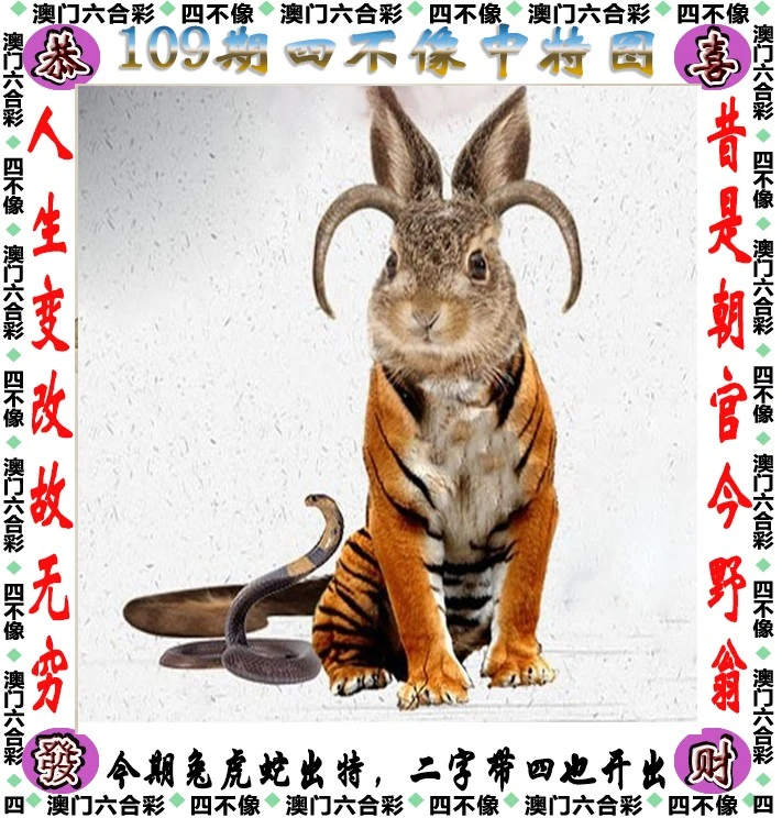 新澳門管家婆四不像一肖一碼，澳門管家婆四不像一肖一碼獨(dú)家揭秘