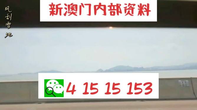 新澳歷史生肖走勢(shì)圖,動(dòng)態(tài)詞匯解析_40