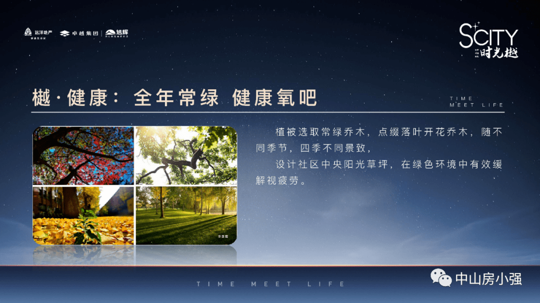 新澳門平特一肖100%最新,最新核心解答落實(shí)_46