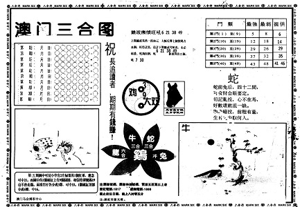 揭秘24碼中特王中王與49中的奧秘，揭秘?cái)?shù)字世界中的秘密，探究24碼與49中的獨(dú)特奧秘