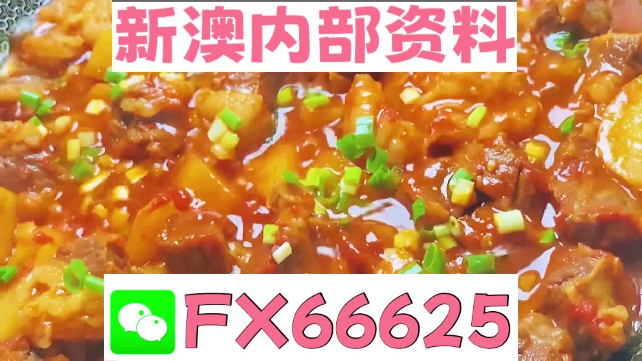 新奧門資料大全正版2025年免費(fèi)下載攻略，澳門正版資料大全2023年免費(fèi)下載攻略
