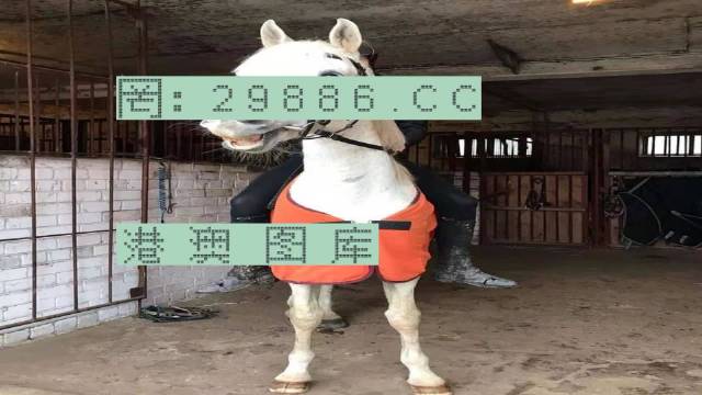 揭秘777778888精準跑狗，賽場上的速度與策略，揭秘賽場上的速度與策略，精準跑狗777778888解密