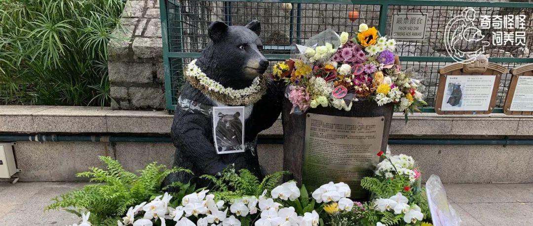 奧門今晚開獎結(jié)果及未來展望（2025年重點關(guān)注），澳門未來開獎?wù)雇c最新開獎結(jié)果（2025年重點關(guān)注）