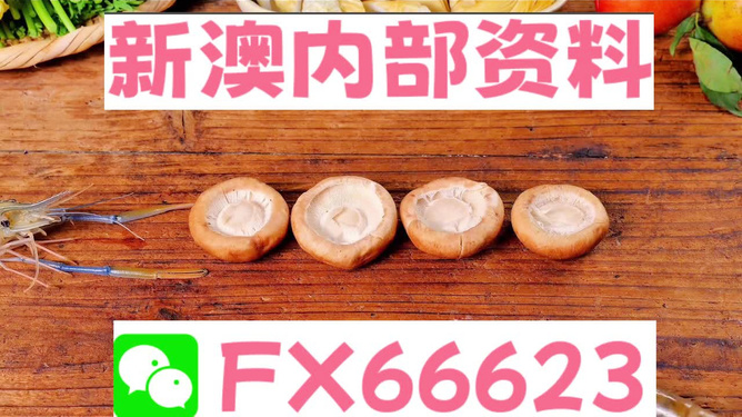 新澳正版資料免費(fèi)提供，助力學(xué)習(xí)成長，新澳正版資料助力學(xué)習(xí)成長之路