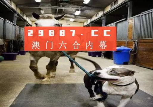 澳門一肖一碼一必中，同舟共濟向前行，澳門一肖一碼必中，同舟共濟向前行