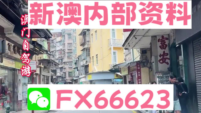 新澳精選資料免費(fèi)提供，新澳精選資料免費(fèi)分享