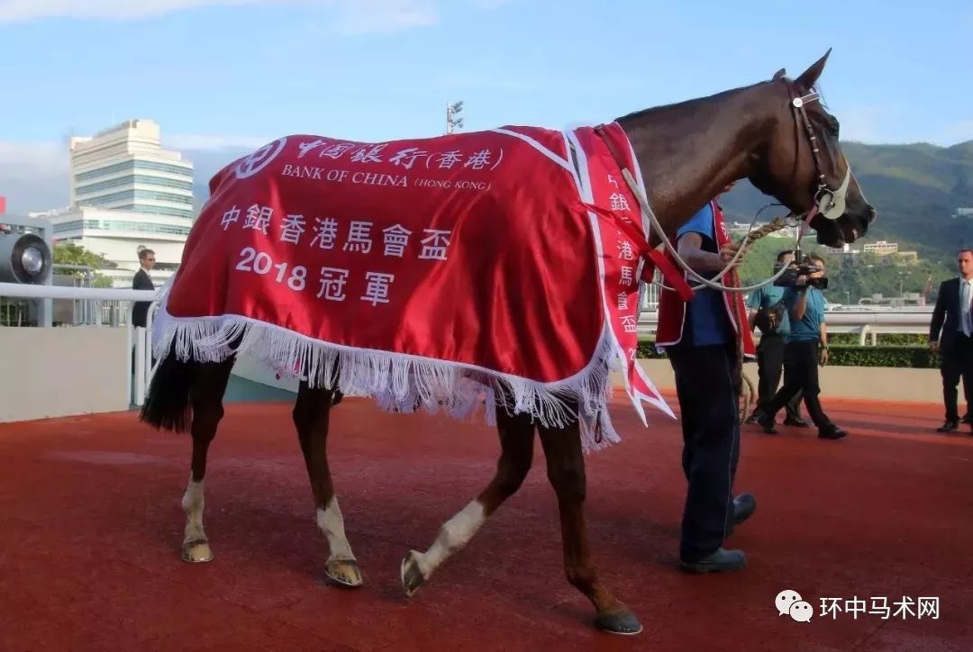 WW777766香港馬會總綱詩的魅力與影響，WW777766香港馬會總綱詩的魅力與深遠影響力