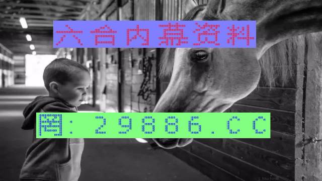 馬會傳真-澳門管家婆百分百，馬會傳真與澳門管家婆的百分百信賴合作