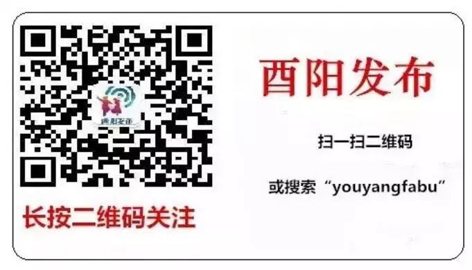 一肖一碼100%中將一，一肖一碼，百分百中獎(jiǎng)秘籍