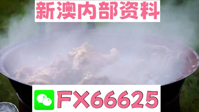 新澳全年免費資料大全，新澳全年免費資料大全匯總
