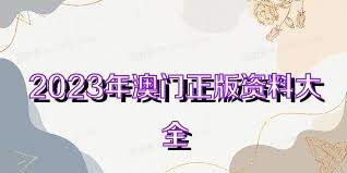 澳門正版免費全年資料大全旅游團，探索澳門之美的絕佳選擇，澳門正版全年資料大全旅游團，探索澳門之美的最佳指南