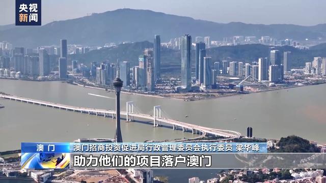 澳門最精準(zhǔn)正最精準(zhǔn)龍門，揭秘成功的秘密，澳門最精準(zhǔn)龍門揭秘，成功的秘密之道