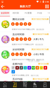 揭秘王中王493333中特開獎(jiǎng)的神秘面紗，揭秘王中王493333中特開獎(jiǎng)背后的秘密面紗
