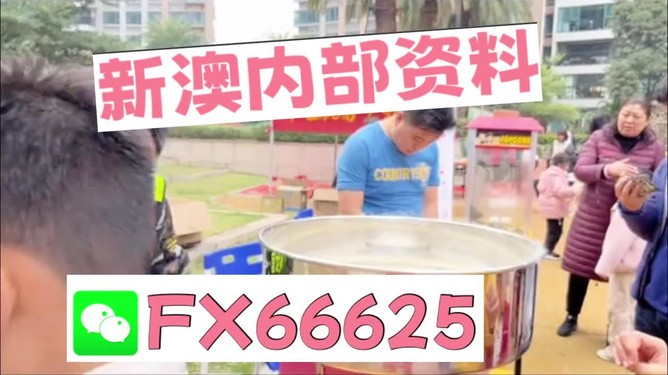 澳門正版免費全年資料大全旅游團，探索澳門魅力的絕佳選擇，澳門正版全年旅游資料大全，探索澳門魅力的旅游團首選