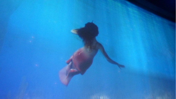澳門美人魚，澳門美人魚表演，魅力海洋的夢幻之旅