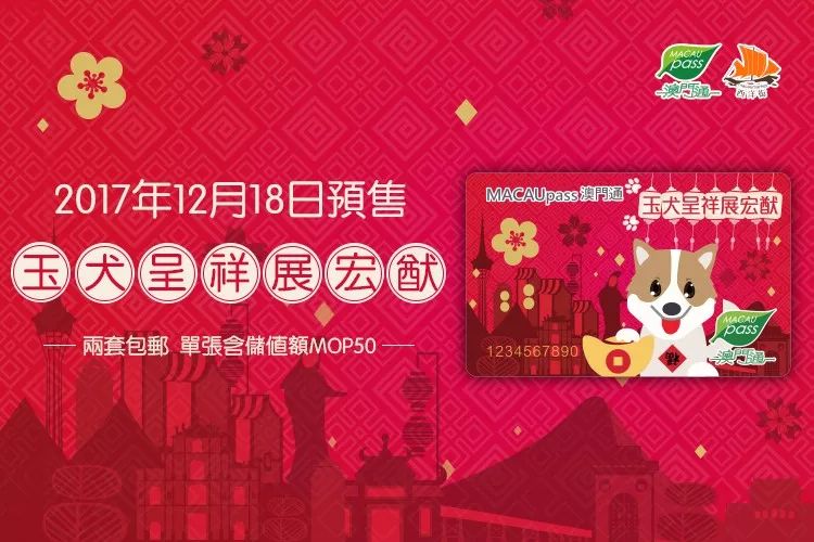 澳門正版資料大全資料生肖卡，澳門正版資料大全，生肖卡全收錄