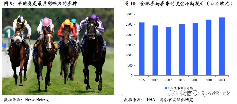 揭秘，2025香港特馬今晚開(kāi)獎(jiǎng)背后的故事，揭秘香港特馬2025年今晚開(kāi)獎(jiǎng)背后的秘密故事