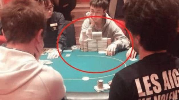 澳門四不像免費正版資科大全，澳門四不像正版資料大全免費獲取