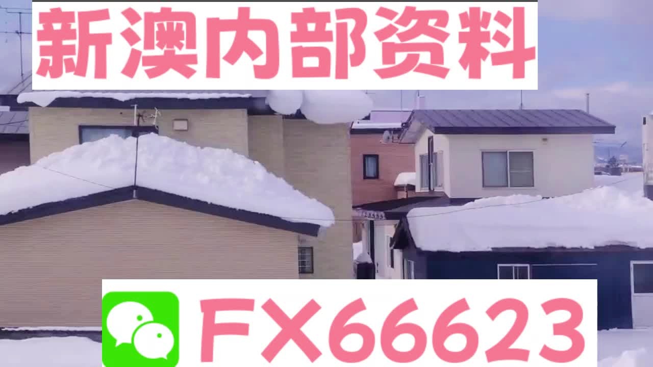 2025新澳精準(zhǔn)正版資料大全，一網(wǎng)打盡各類信息，2025新澳正版資料大全，一網(wǎng)打盡各類信息的全面指南