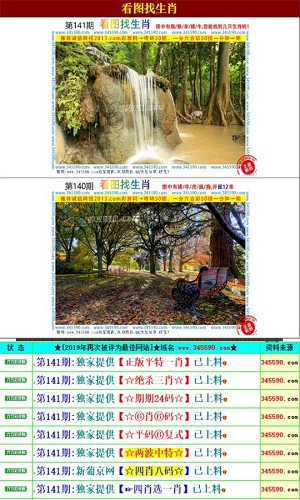 王中王精準(zhǔn)資料期期中，澳門高手揭秘第174期，澳門高手揭秘第174期王中王精準(zhǔn)資料解析