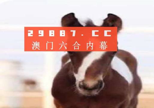 新澳門一碼一碼100準確，澳門彩票一碼精準預測，揭秘準確率背后的秘密