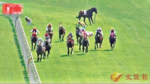 香港資料大全正版資料2025年免費(fèi)四柱，馬報(bào)熱門資訊解析，香港正版資料解析與四柱預(yù)測，熱門馬報(bào)資訊免費(fèi)解讀