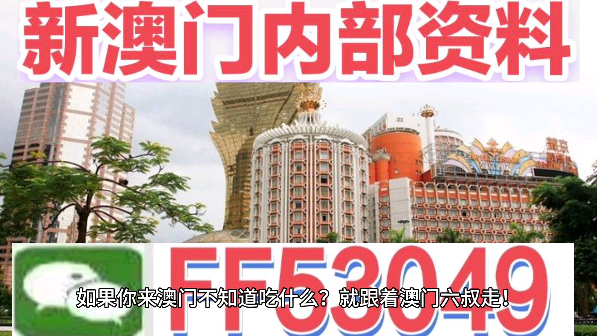 2025澳門特馬今晚開獎(jiǎng)億彩網(wǎng)書肖在哪幾個(gè)，澳門特馬今晚開獎(jiǎng)?lì)A(yù)測(cè)及書肖分析