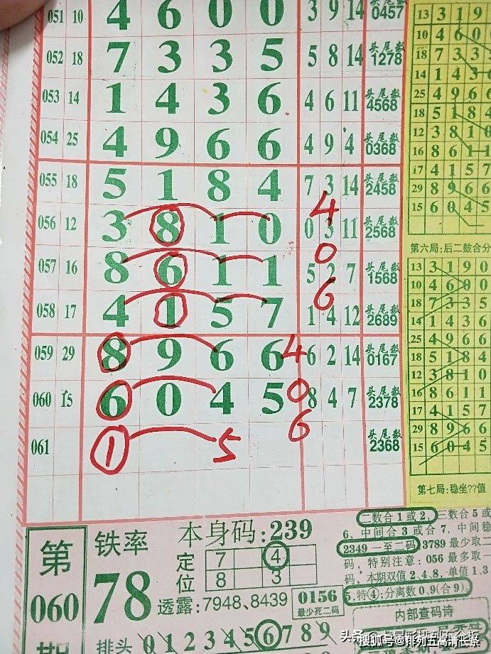 揭秘三期內(nèi)必開一肖資料，揭秘生肖彩票的神秘面紗，揭秘三期內(nèi)必開一肖資料，揭開生肖彩票的神秘面紗真相揭秘