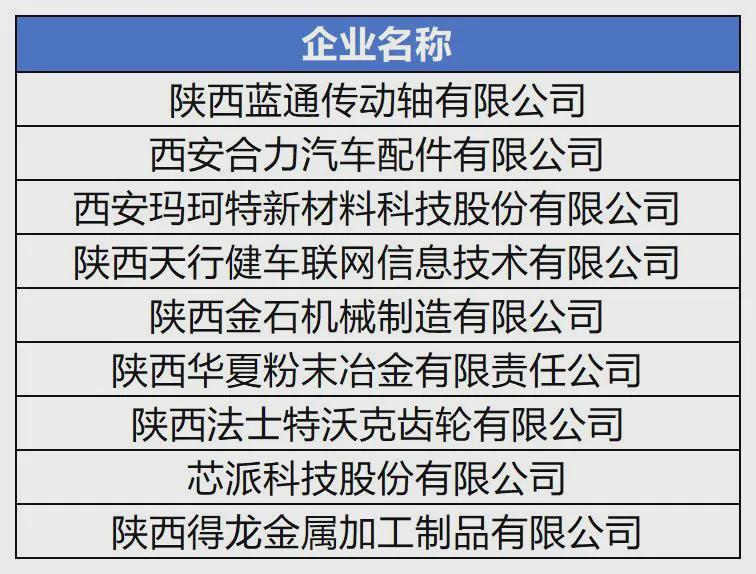 揭秘2025新澳門精準四肖期期中特公開的秘密，揭秘澳門精準四肖期期中特秘密大公開（獨家爆料）