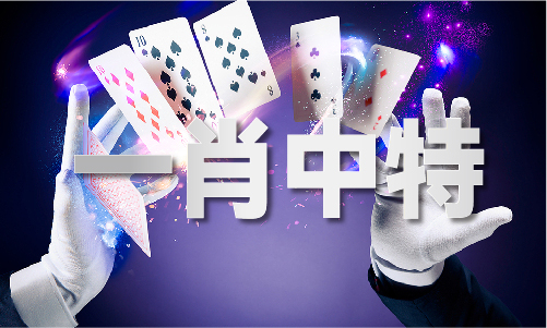 新澳門歷史記錄查詢表最新版，澳門歷史記錄查詢表最新版發(fā)布
