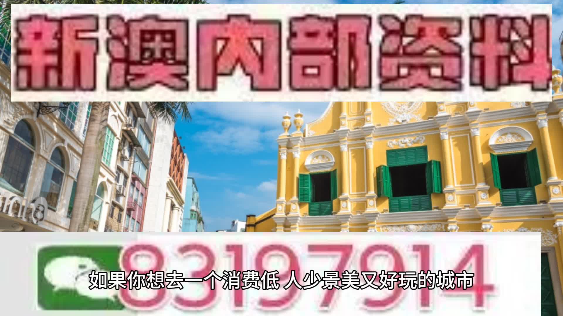 新澳2025年一肖一馬中特，新澳2025年一肖一馬中特預(yù)測與解析