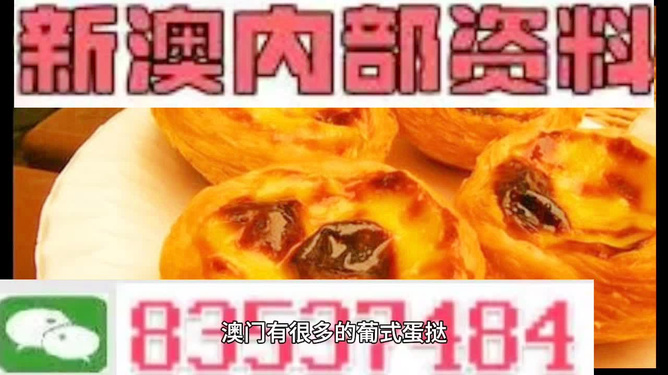 新澳今天最新資料解析，新澳今日最新資料深度解析