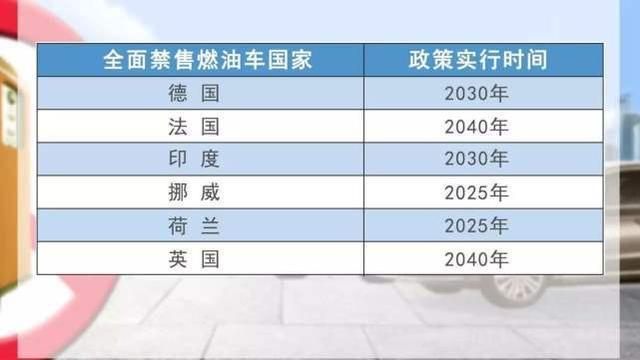2025年度白小姐四肖選一肖，揭秘2025年度白小姐四肖選一肖的神秘面紗