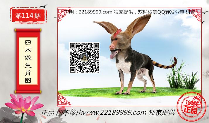 四不像正版資料查看，四不像正版資料詳查