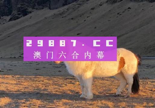 探尋澳門今晚開出的生肖秘密，澳門今晚生肖秘密揭曉，探尋開出的生肖奇跡