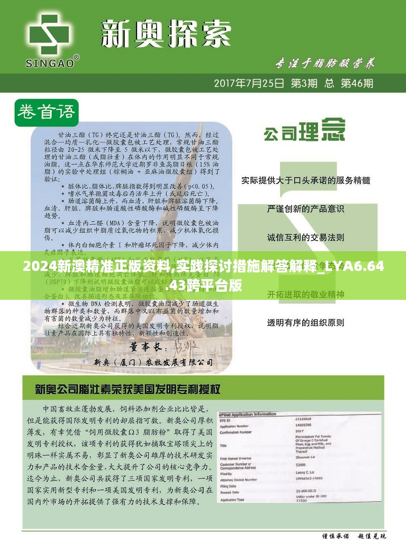 新澳2025資料深度解析，新澳2025資料深度解讀報(bào)告