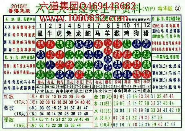 香港十二生肖49碼表2025年，香港十二生肖49碼表預(yù)測2025年運勢解析
