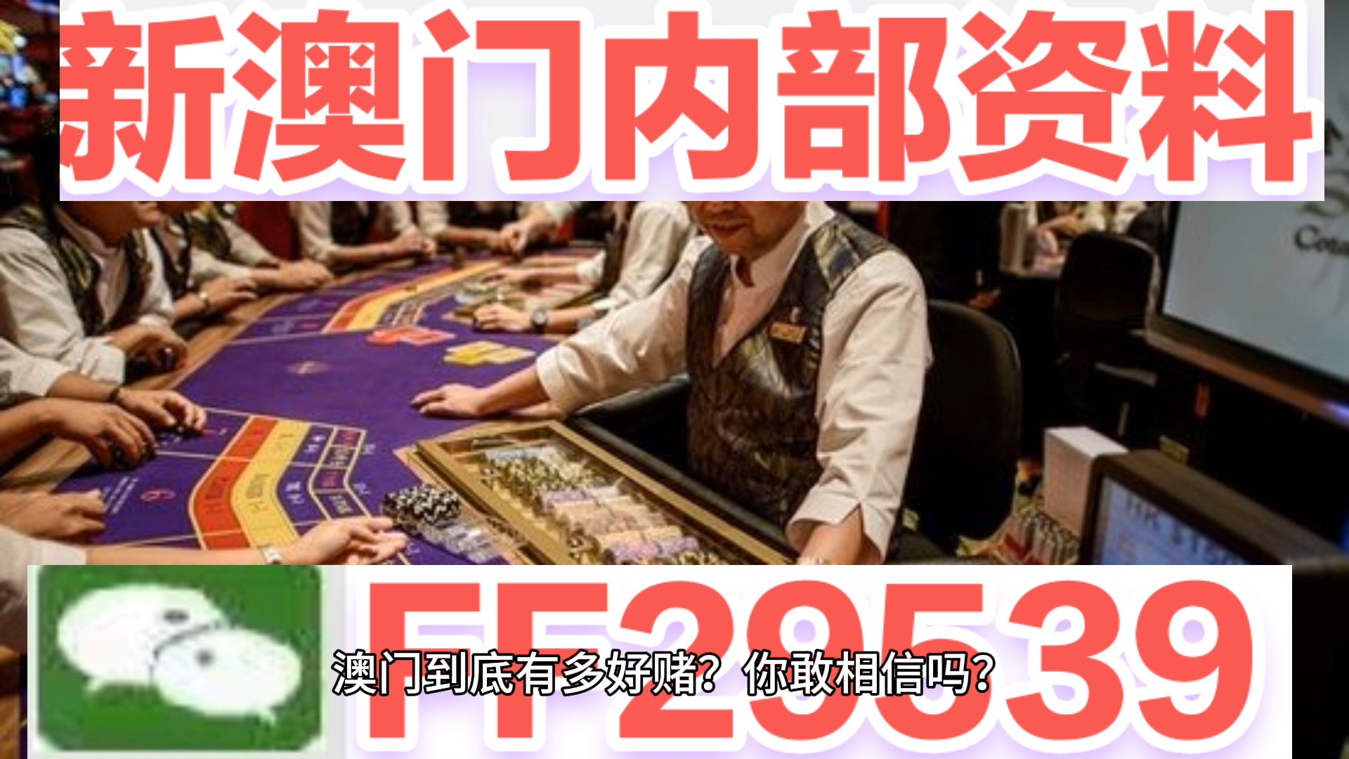 2025年澳門天天開好大全紅波—探索未來的繁榮與機(jī)遇，澳門未來繁榮與機(jī)遇展望，天天開好，紅波涌動(dòng)至2025年
