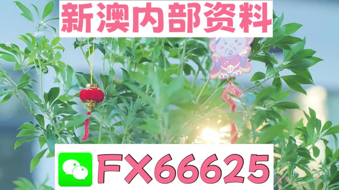 新澳好彩免費(fèi)資料查詢(xún)背后的故事，水果奶奶醉八仙，新澳好彩免費(fèi)資料查詢(xún)背后的故事，水果奶奶的八仙醉傳奇