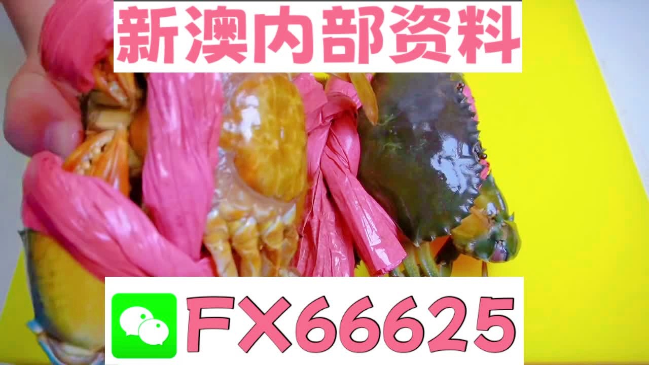 『深度解析』2025新澳精準資料大全—數(shù)據(jù)背后的真相與啟示，深度解析，2025新澳精準資料背后的數(shù)據(jù)真相與啟示