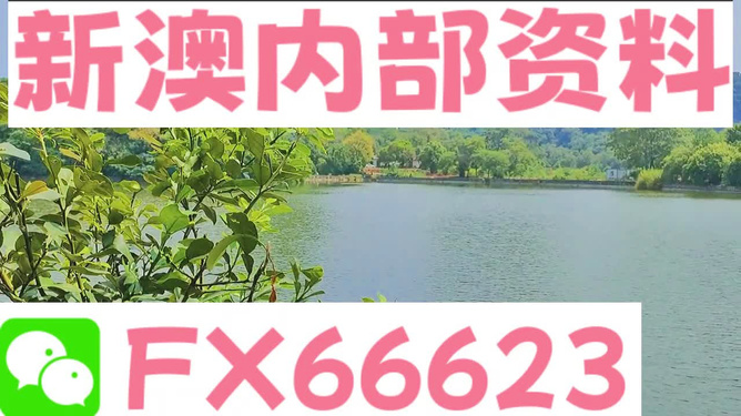 新澳最準(zhǔn)的免費(fèi)資料大全7456一網(wǎng)打盡，新澳最準(zhǔn)免費(fèi)資料大全一網(wǎng)打盡7456