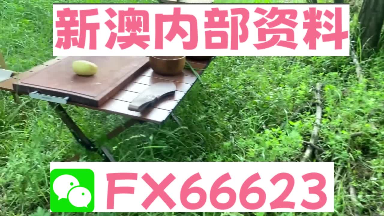 2025新澳精準資料大全解釋，2025新澳精準資料大全詳解