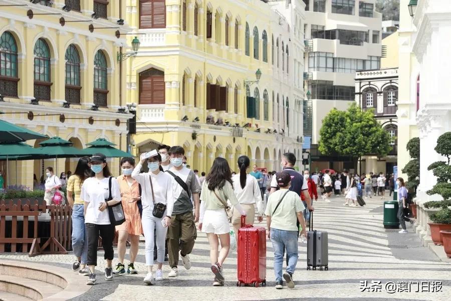揭秘澳門天天六開彩查詢，探索彩票世界的奧秘與樂趣，探索彩票世界，澳門天天六開彩查詢背后的奧秘與樂趣