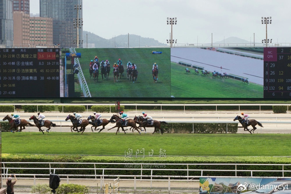 2025新澳門今晚開特馬直播，澳門特馬直播預告，揭秘今晚開獎懸念
