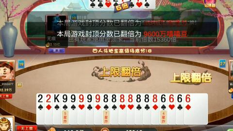 二四六天好彩(944CC)資料詳解，二四六天好彩(944CC)全面解析