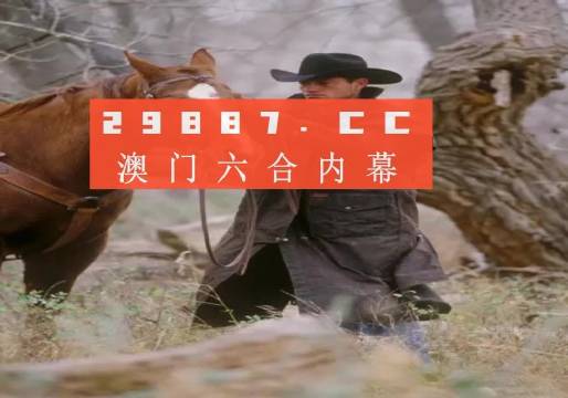 香港6合和彩網(wǎng)站入口，香港六合和彩網(wǎng)站入口揭秘