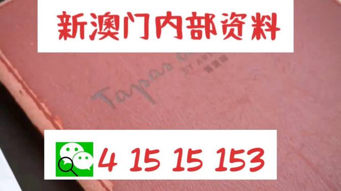 新門內(nèi)部資料精準(zhǔn)大全的功能介紹，新門內(nèi)部資料精準(zhǔn)大全，功能全面解析