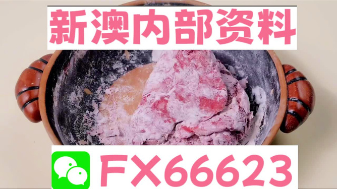 新澳門內部一碼精準公開，澳門內部一碼精準公開揭秘