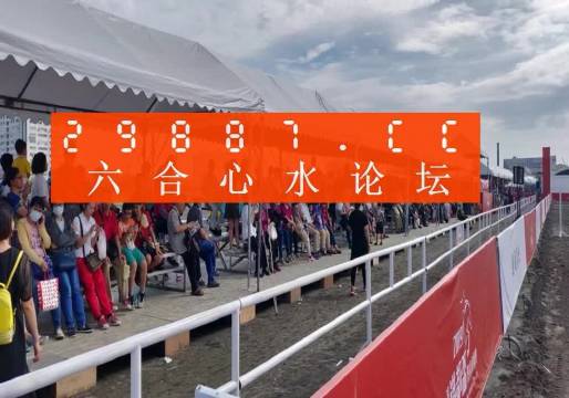 揭秘新奧門49碼資料，一網(wǎng)打盡各類信息，澳門49碼資料大揭秘，一網(wǎng)打盡全方位信息