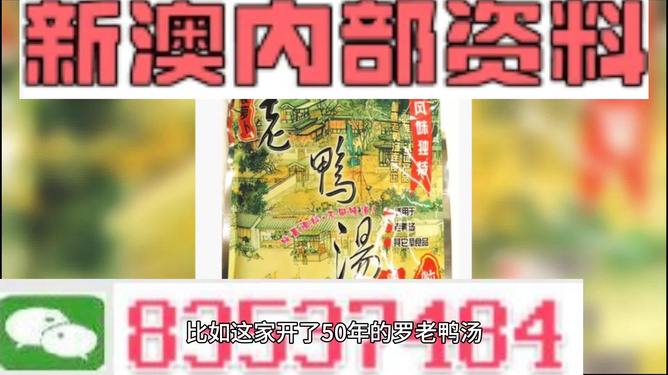 新澳2025年正版資料深度解析，新澳2025年正版資料深度剖析